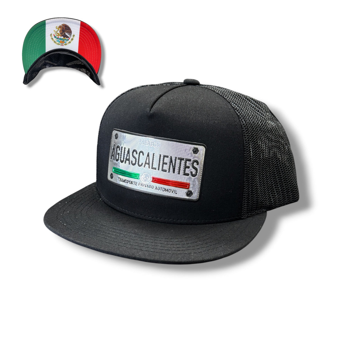 Silver Mexico License Plate Hat - Aguascalientes