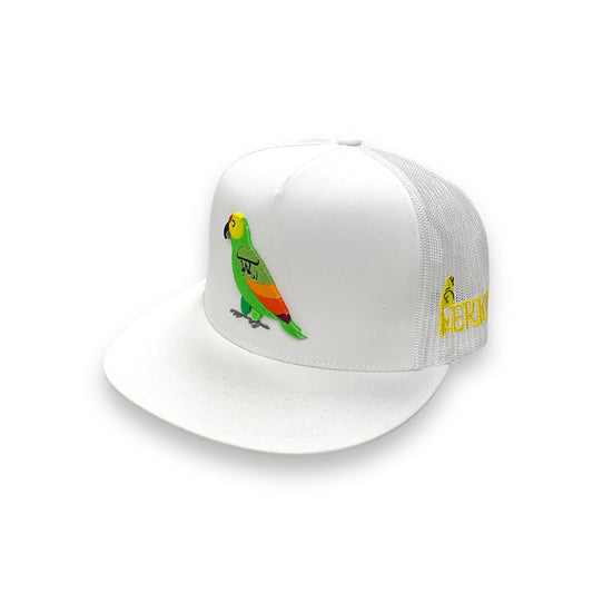 Texas Ranch Hat - Perico White