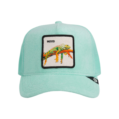 Goorin Bros. - Gummy Terry Cloth Iguana