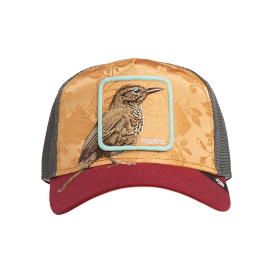 Goorin Bros. - Amber Costa Rica Thrush