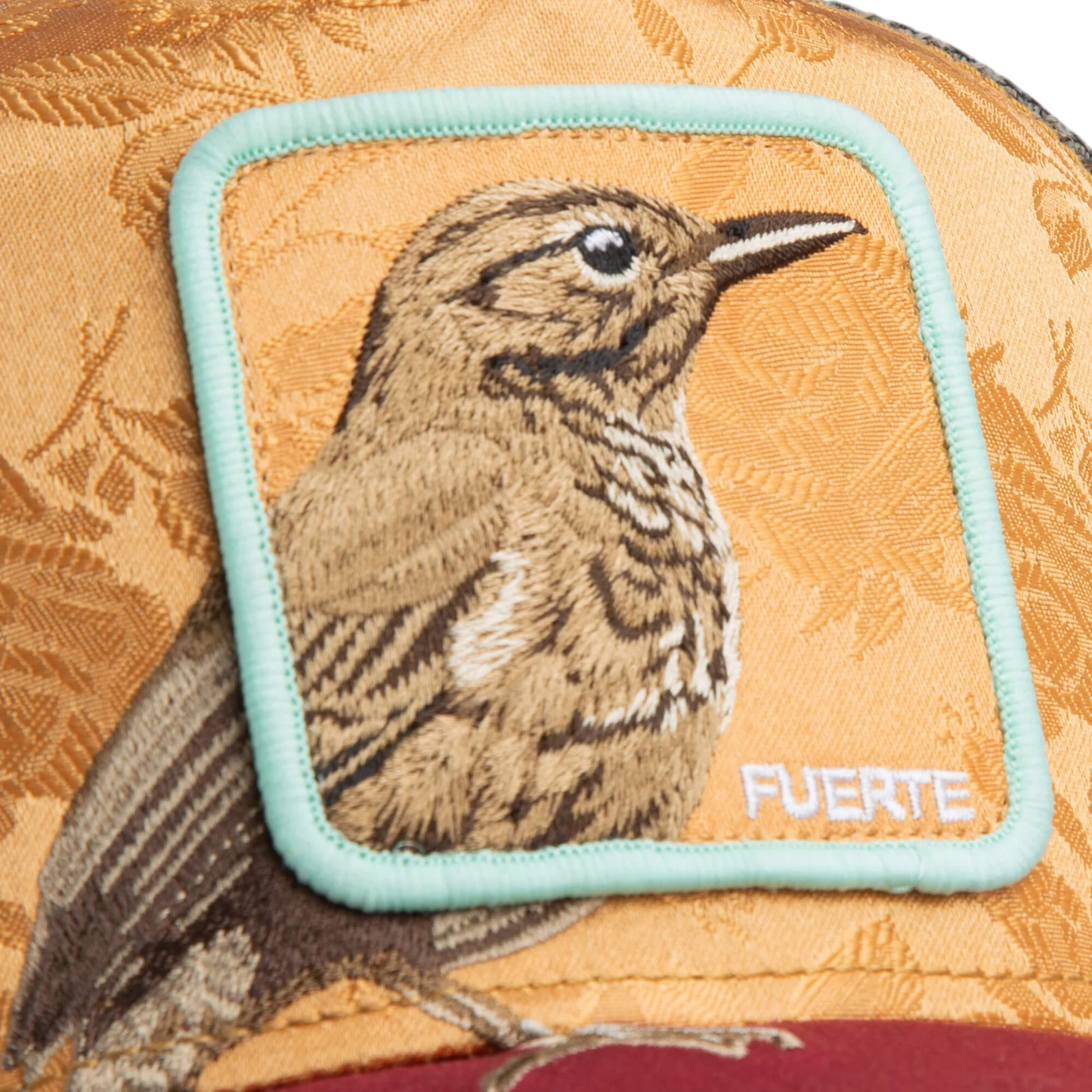 Goorin Bros. - Amber Costa Rica Thrush