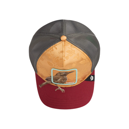 Goorin Bros. - Amber Costa Rica Thrush